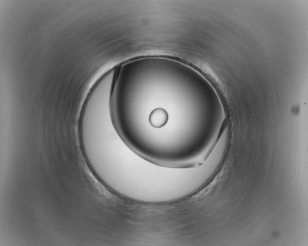 X0000096161181200802011249