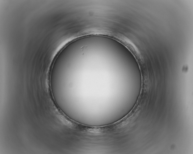 X0000096161182200802011249