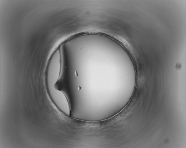 X0000096161183200802011249