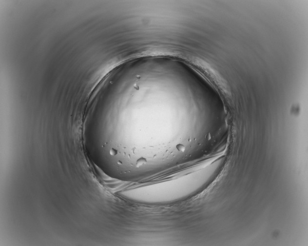 X0000096161185200802011248