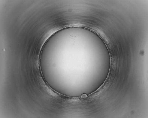 X0000096161186200802011248