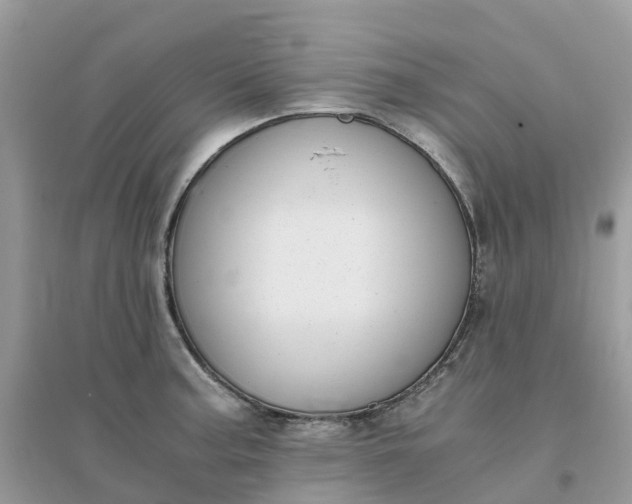 X0000096161187200802011248