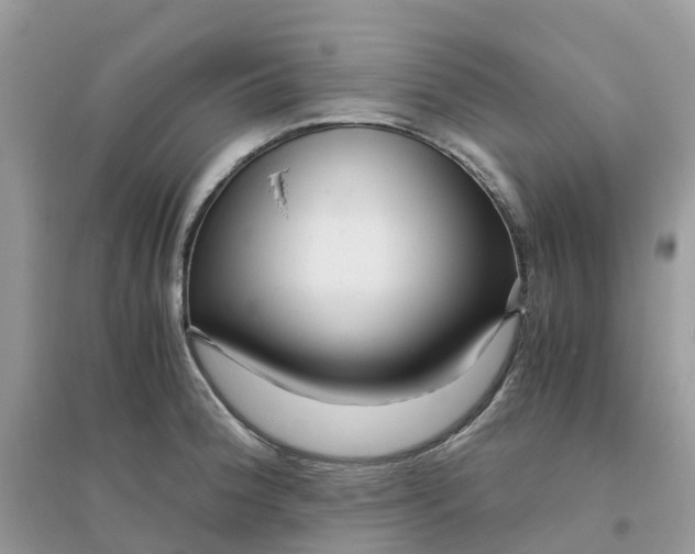 X0000096161188200802011248