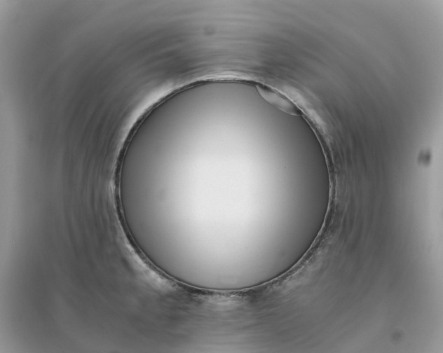 X0000096161189200802011248