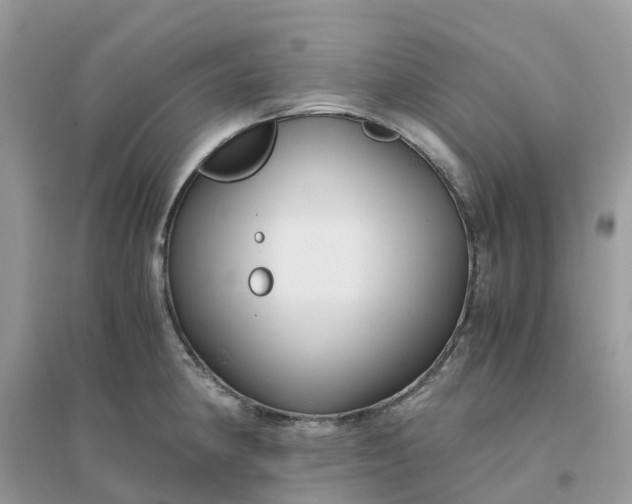 X0000096161190200802011248