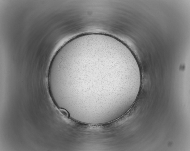 X0000096161191200802011248