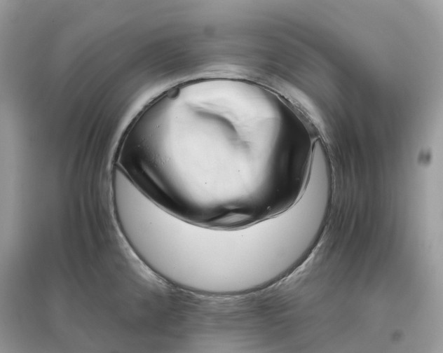 X0000096161192200802011248