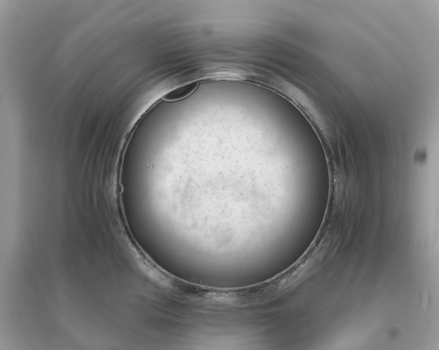 X0000096161194200802011248