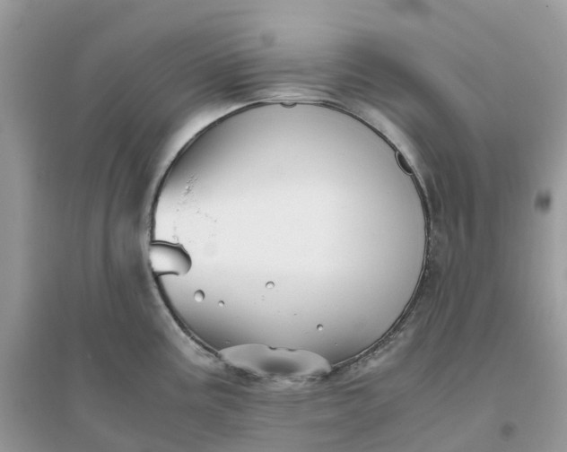 X0000096161195200802011248