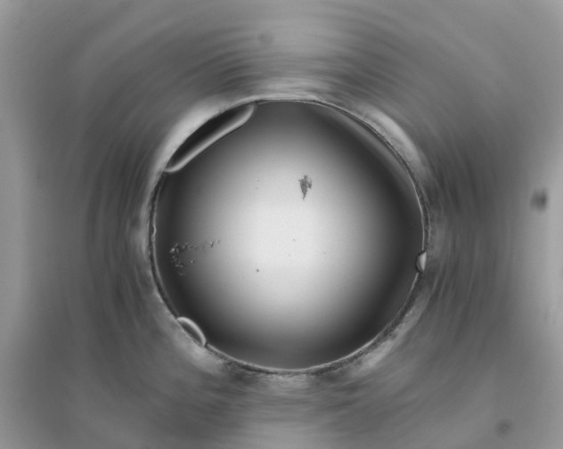 X0000096161196200802011248