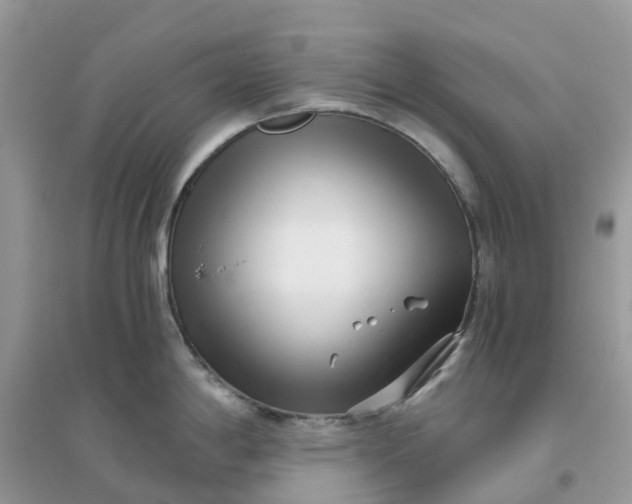 X0000096161198200802011248