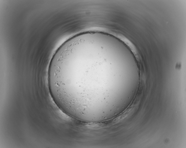 X0000096161199200802011248