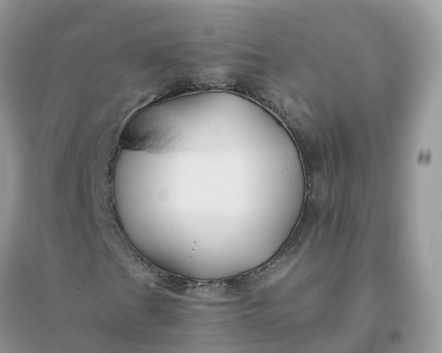 X0000096161201200802011248