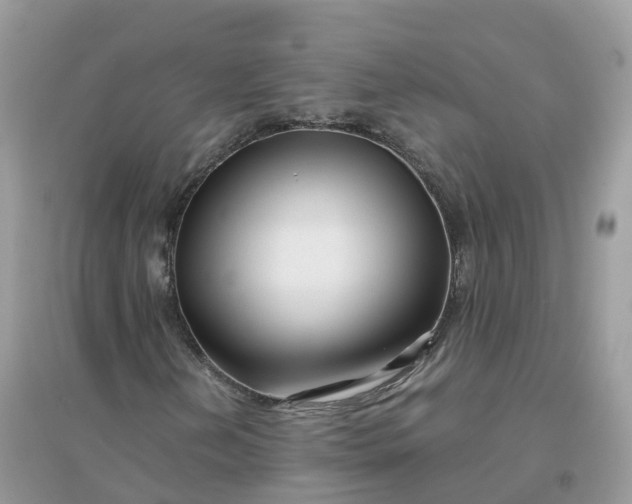 X0000096161202200802011248