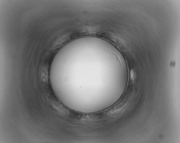 X0000096161203200802011248