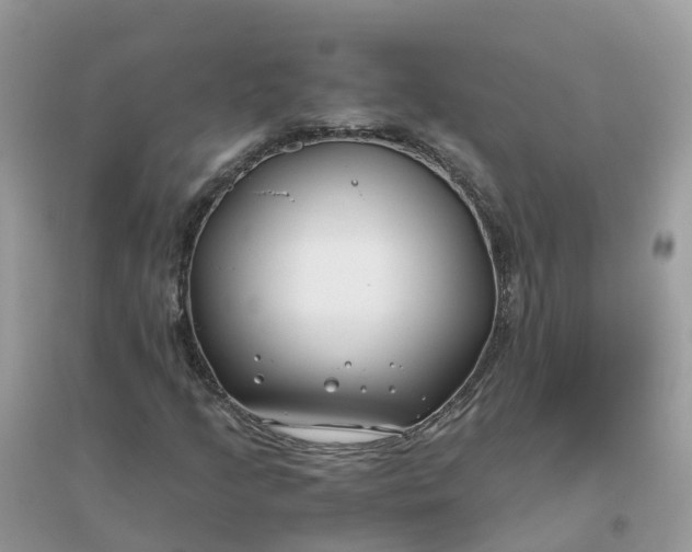 X0000096161205200802011248