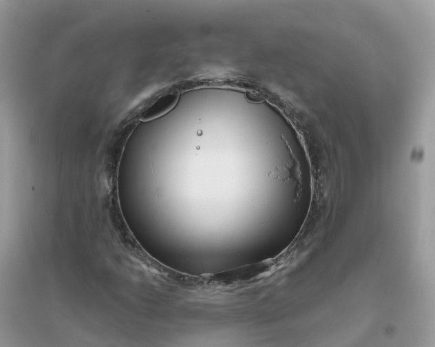 X0000096161206200802011248