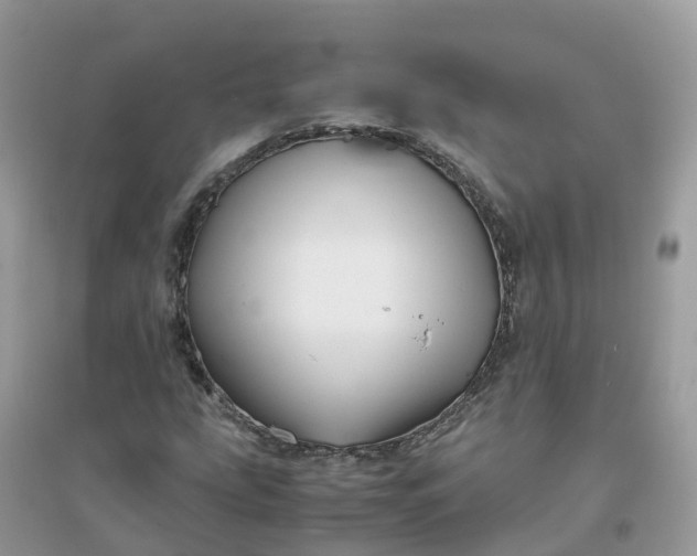 X0000096161207200802011248