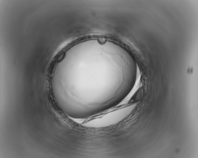 X0000096161208200802011248