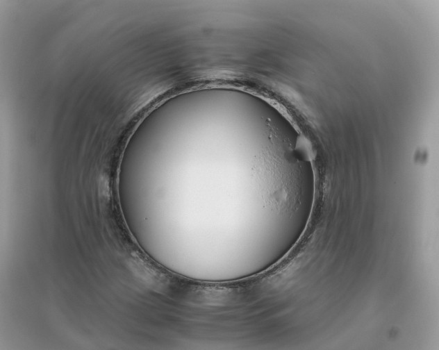 X0000096161209200802011248