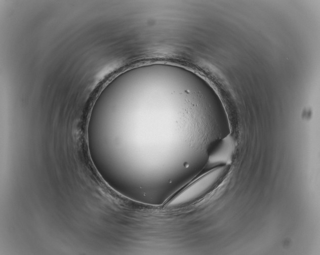 X0000096161210200802011248