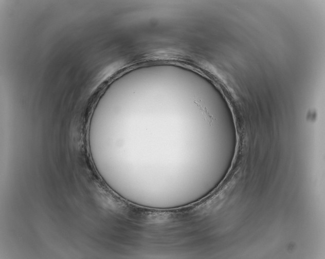 X0000096161211200802011248