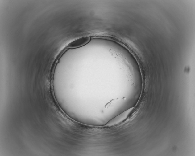 X0000096161212200802011248