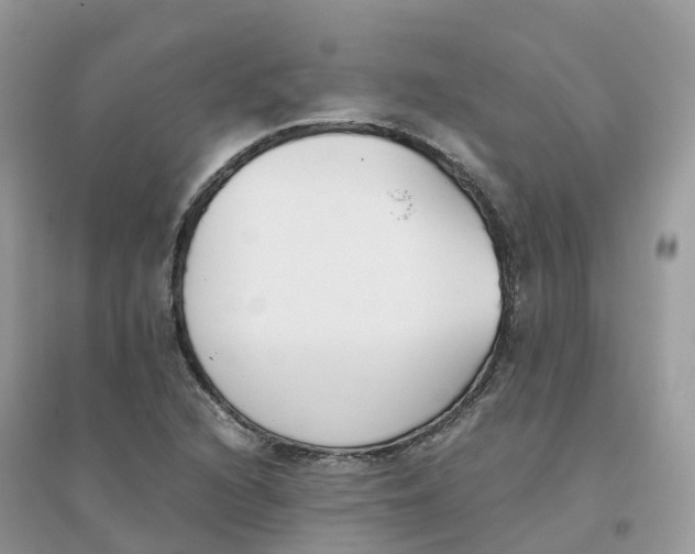 X0000096161216200802011248