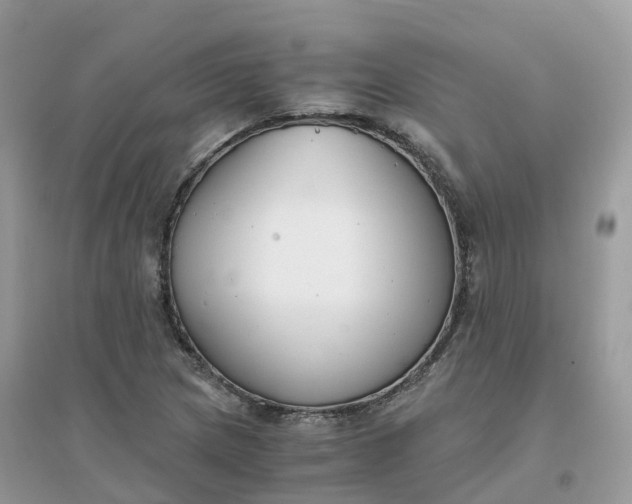 X0000096161217200802011248