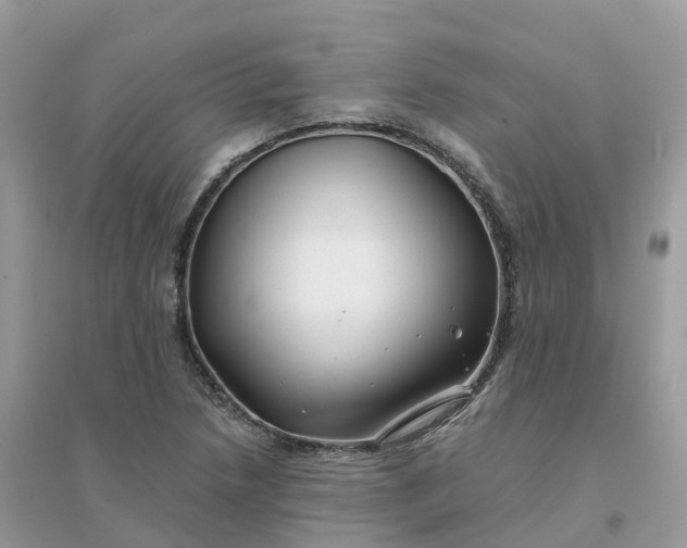 X0000096161218200802011248