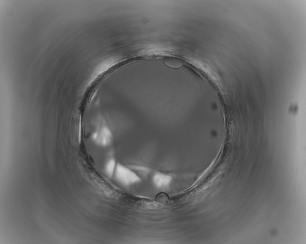 X0000096161219200802011248