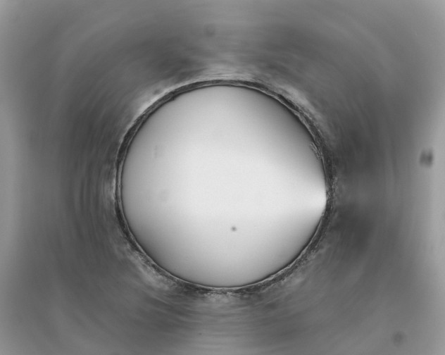 X0000096161220200802011248