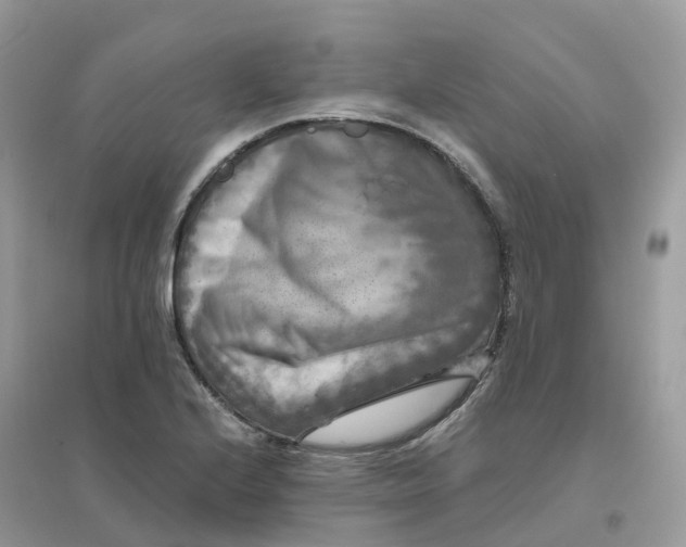 X0000096161224200802011248