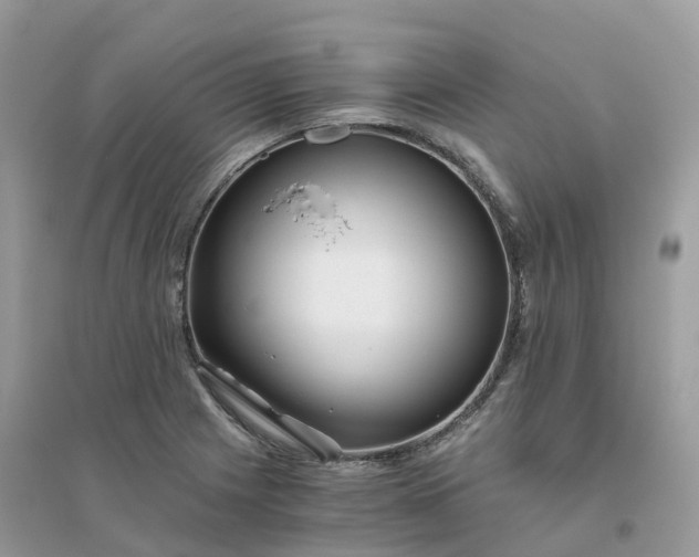 X0000096161225200802011248