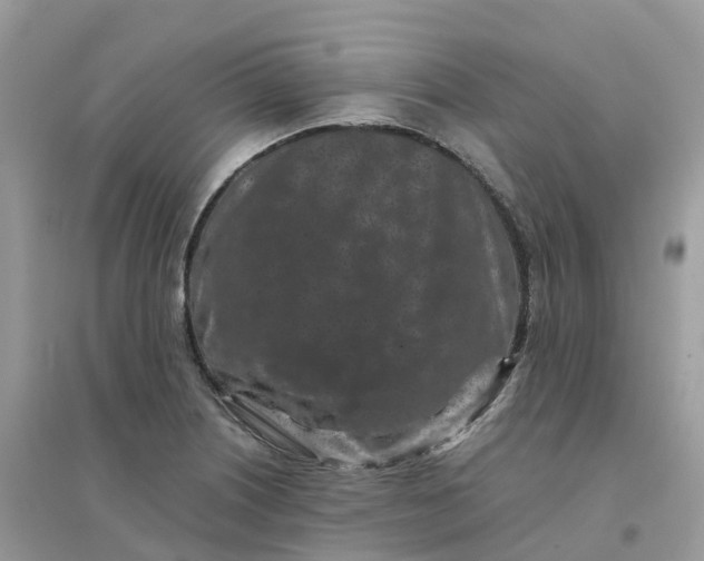 X0000096161226200802011248