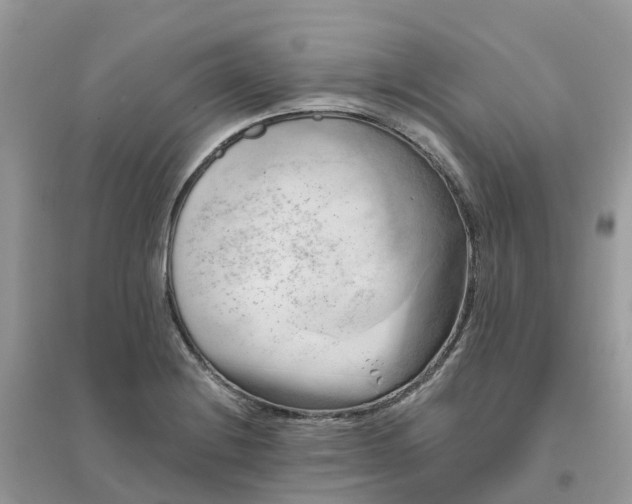 X0000096161228200802011248