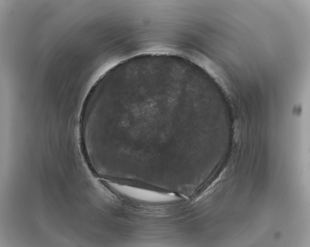 X0000096161229200802011248