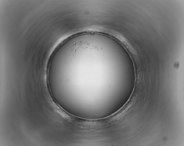 X0000096161232200802011248