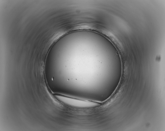 X0000096161233200802011248