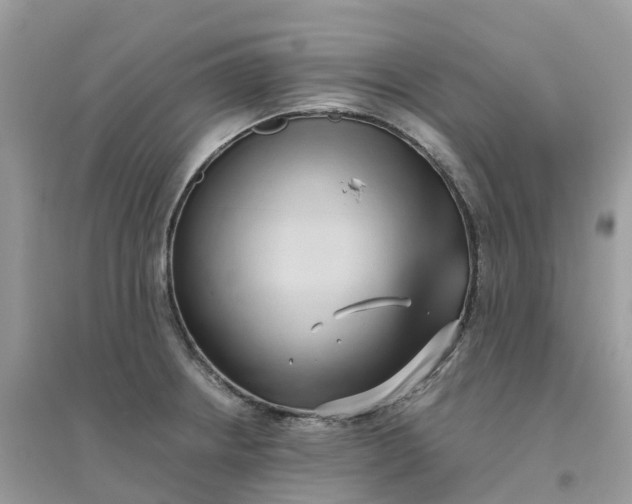 X0000096161234200802011248