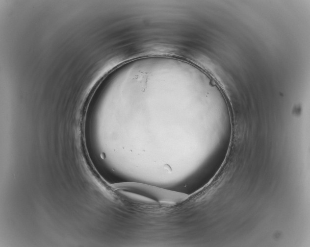 X0000096161235200802011248