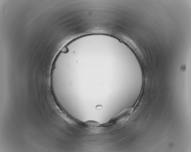 X0000096161236200802011248