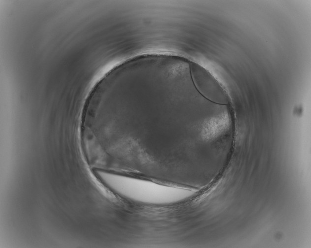 X0000096161237200802011248