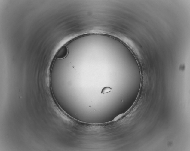 X0000096161238200802011248