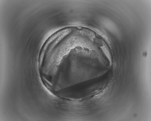 X0000096161239200802011248