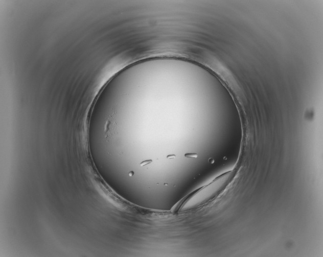 X0000096161242200802011248