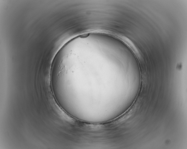 X0000096161244200802011248