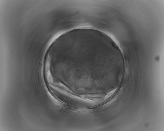 X0000096161245200802011248