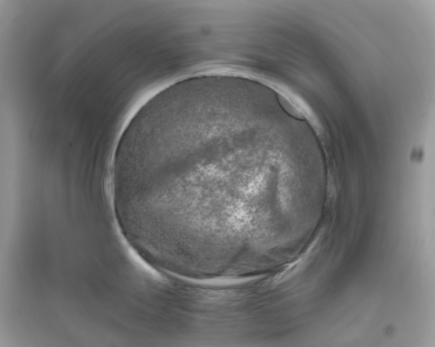 X0000096161247200802011248