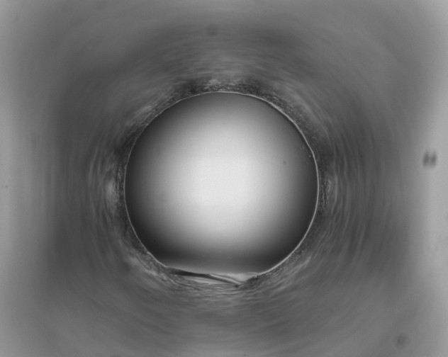 X0000096161250200802011248